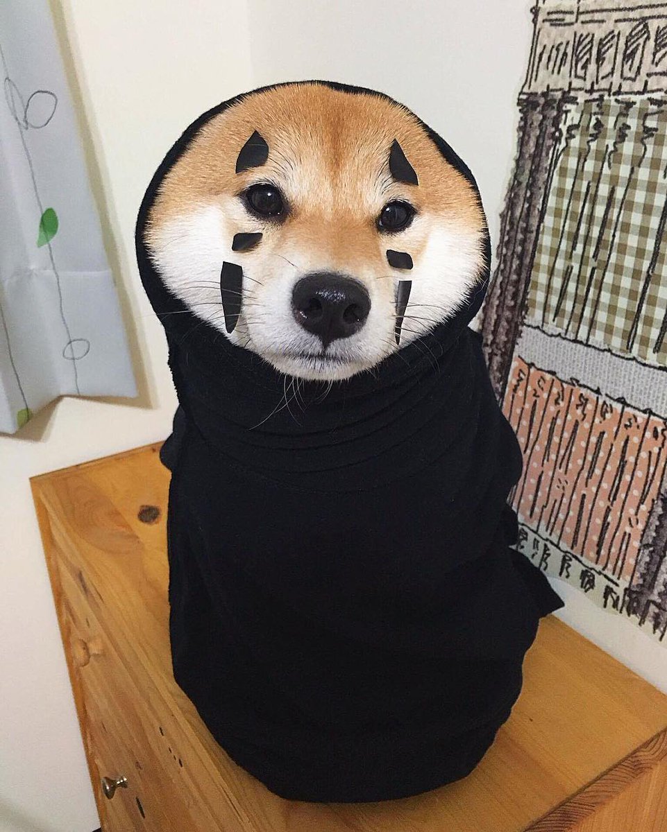 ok here's a Shiba dressed up as No-Face from Spirited Away