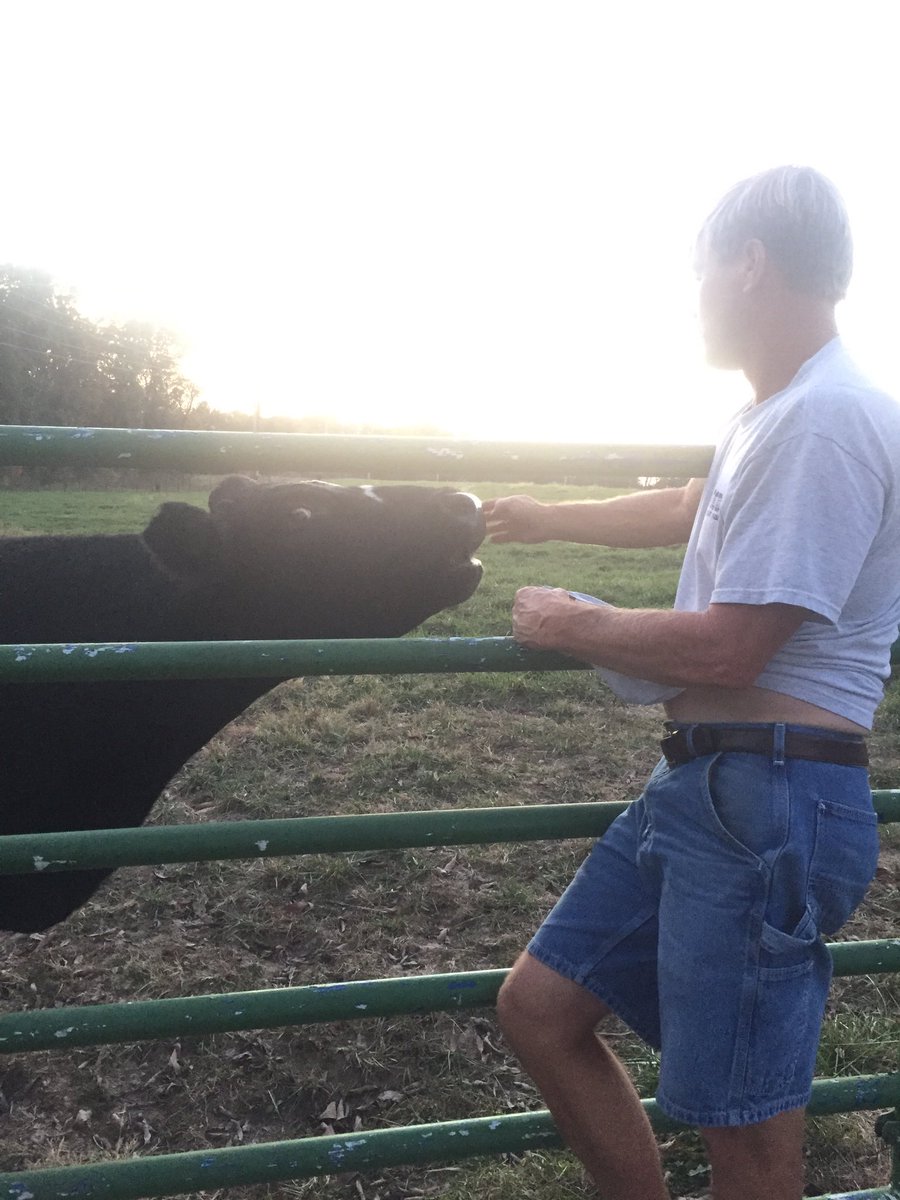 a_schrimpf's tweet photo. Nothing like spending time with dad #cherish https://t.co/CVfT1i5chs