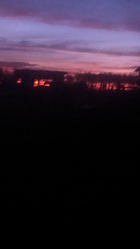 GorstMay's tweet photo. Pastels of #SkOutdoorsEarlyMorningFeeding 
#BeautifulSunrisePix https://t.co/4nTzbBJFTd