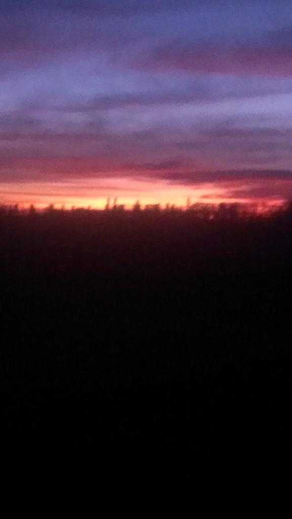 GorstMay's tweet photo. Pastels of #SkOutdoorsEarlyMorningFeeding 
#BeautifulSunrisePix https://t.co/4nTzbBJFTd