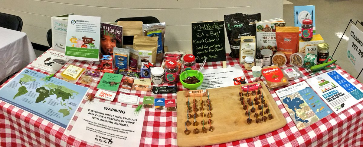 LittleHerds's tweet photo. We're sharing #InsectCuisine w/ some #StrongGirls. Thanks @Girls_EN for inviting us back for or third #WeAreGirls! 
#SmartGirls https://t.co/AbzVDCamhk