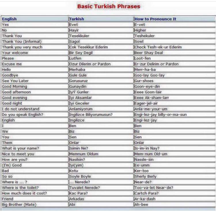 LearnLangTo's tweet image. #turkish #phrases