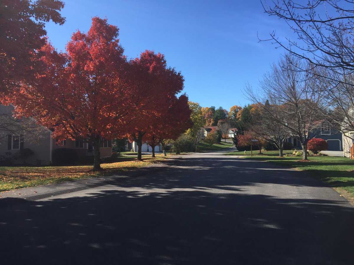 Kinnngx3's tweet image. Absolutely beautiful day to be out knocking on doors for @GarthCorriveau @Weeks4NH and @peggygilmour #nhpolitics ☺️