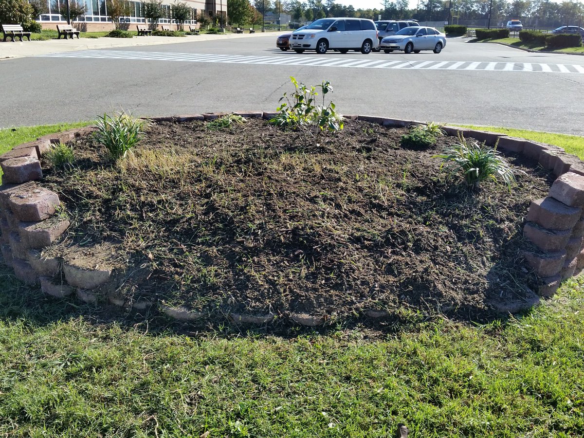 shari_arends's tweet photo. GMHS PTSA @GreatmillsHS @GMHS_SMCPS We tackled the circle one weed at a time! #looksmuchbetter #2studentshelpedPTSA #GMHSNJROTC https://t.co/wIewqjrIT0