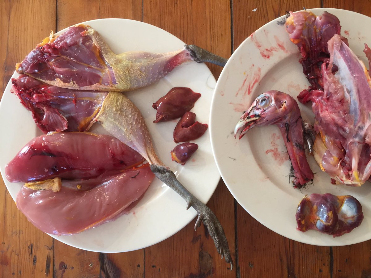 Dagje aan het 'poelieren' 1
Van fazant naar een bordje vlees voor mijn familie en een bordje voor mijn huisdieren. #diyfuture