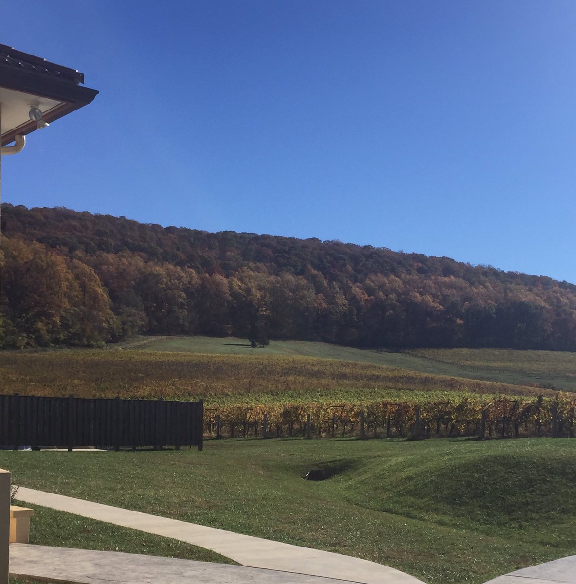 AnnePortellCBU's tweet photo. My current view could not be any more amazing! UMDF Fall into a Cure setup going on now! @VineyardVows @RayPereiraCBU @CateringUptown @UMDF https://t.co/TwQhXIcebq