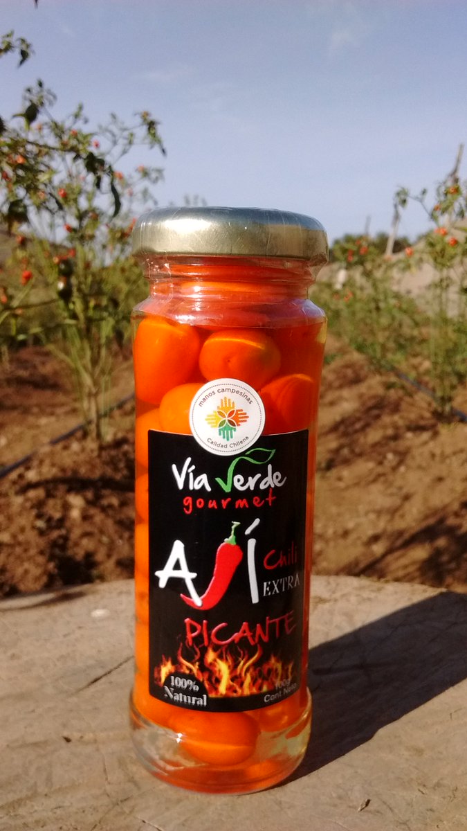viaverdegourmet.cl
Los mejores productos de Ají. Artesanales y gourmet.