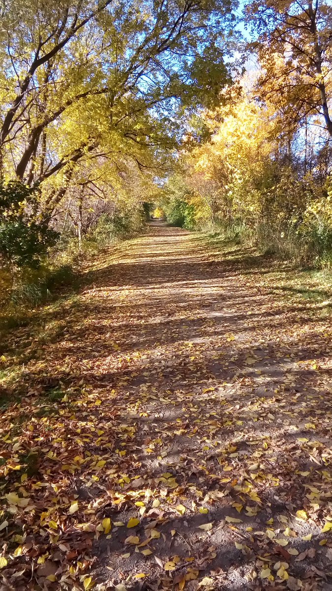 ERubberTires's tweet photo. Another beautiful #FallRunningAdventures along @TownCollingwood #trailrunning @CanadianRunning @Smartwool #GetOutGetActive https://t.co/OqyHJbQJAf