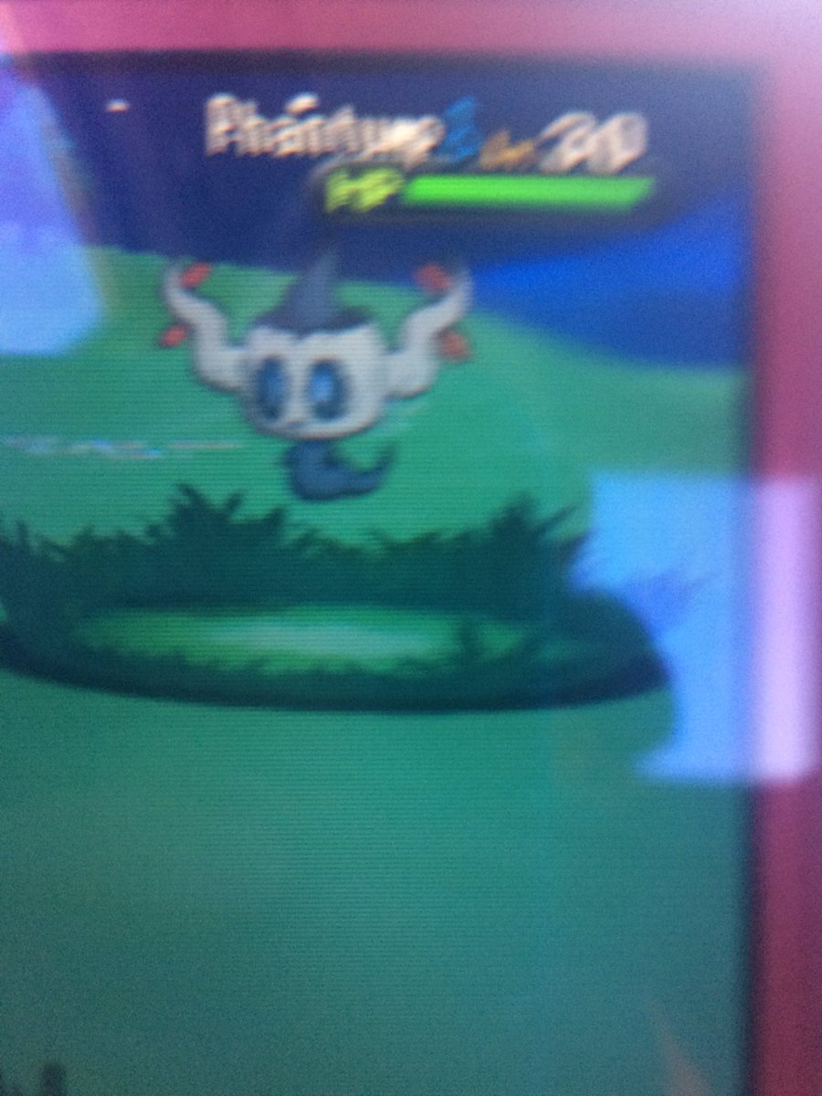 DoubleR_Ryan's tweet photo. @Zants @aDrive_tK Got Shiny Phantump from FS after only 34 encounters!!... Sadly had to use Masterball Before it killed itself. https://t.co/foDgGwZ3TQ