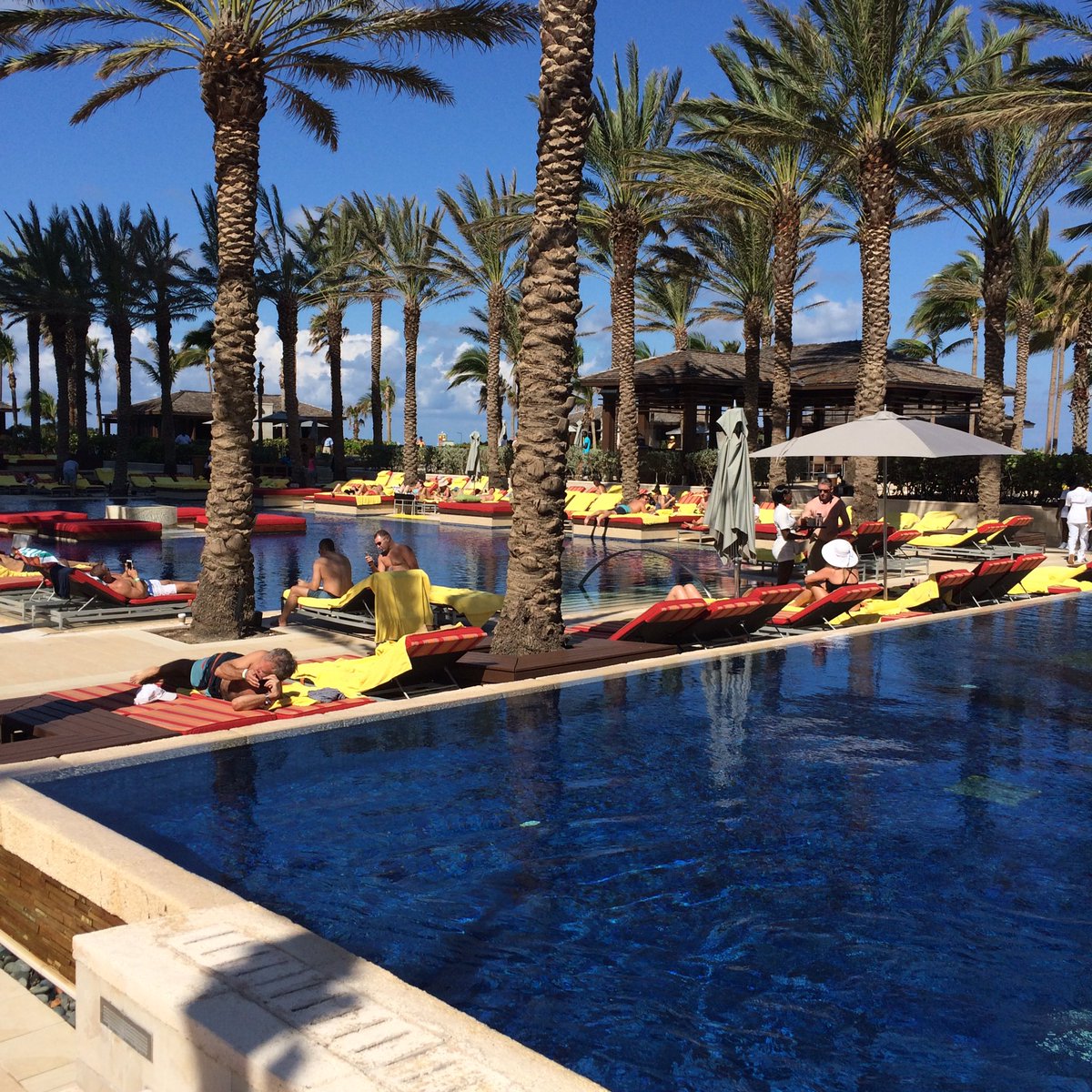 Jacques_Sharon's tweet photo. #Cainatthecove. #coveatlantis
Just another day in Paradise!! https://t.co/G5NVXnhAI7