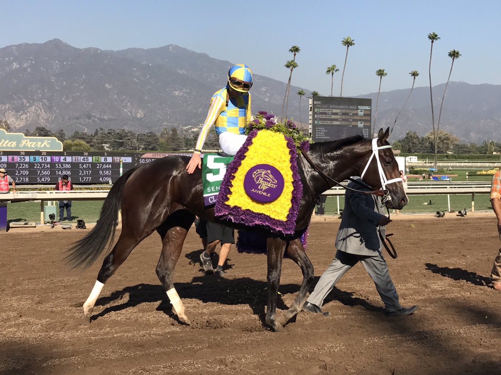 Classic Empire (Classic_Empire) Twitter