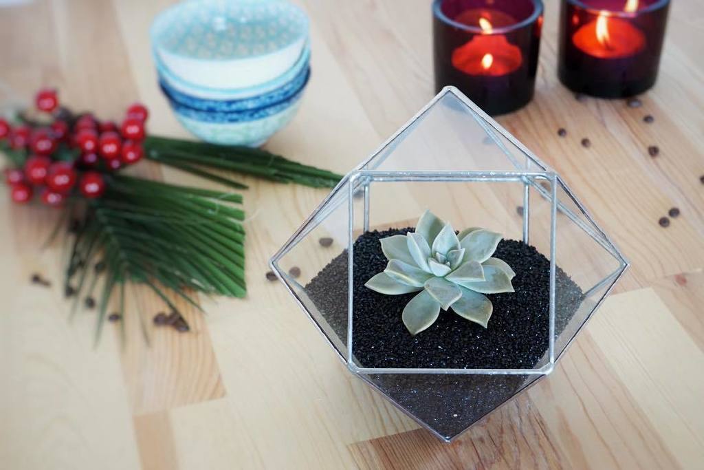 Muditacrafts's tweet photo. Best gift for gardeners. Please check bio for my Etsy shop 🍃🌱🍃 https://t.co/jBnwgPmcfK https://t.co/6X5kYyZbrS