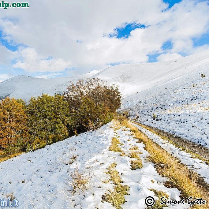 CamoscioSibilla's tweet photo. Alta Valle del Rio Sacro, Ussita 12 Ottobre 2016. #ilfuturononcrolla #ussita #fargno #ripartidaisibillini #sibillin… https://t.co/kOhvis3kWP