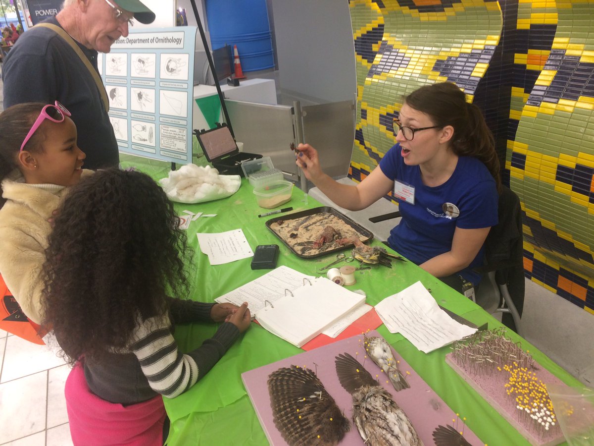 CLEMakerFaire's tweet photo. Our friends @goCMNH are doing live taxidermy workshops all day! Bet you've never seen this in a library. #CMMF16 https://t.co/ZlUWeThSEU