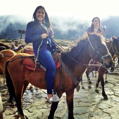 KeidimarA's tweet photo. caballo te dan sabana............. https://t.co/8CrGPZUIoR