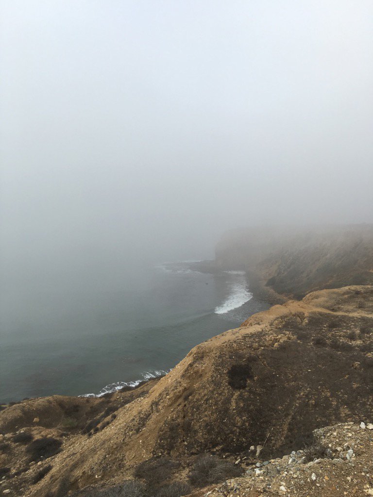 efreremedia's tweet photo. The ocean is out there somewhere. #fog #LA #coasr #abc7eyewitness https://t.co/78s4zxKoLH