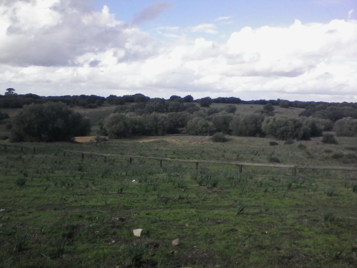 pablovera_g's tweet photo. Inspiradora visita a @DehesadeAbajo. Mucho que reflexionar y aprender de su experiencia de conservación e integración territorial #VIJECdT https://t.co/JKtSPIGfrm