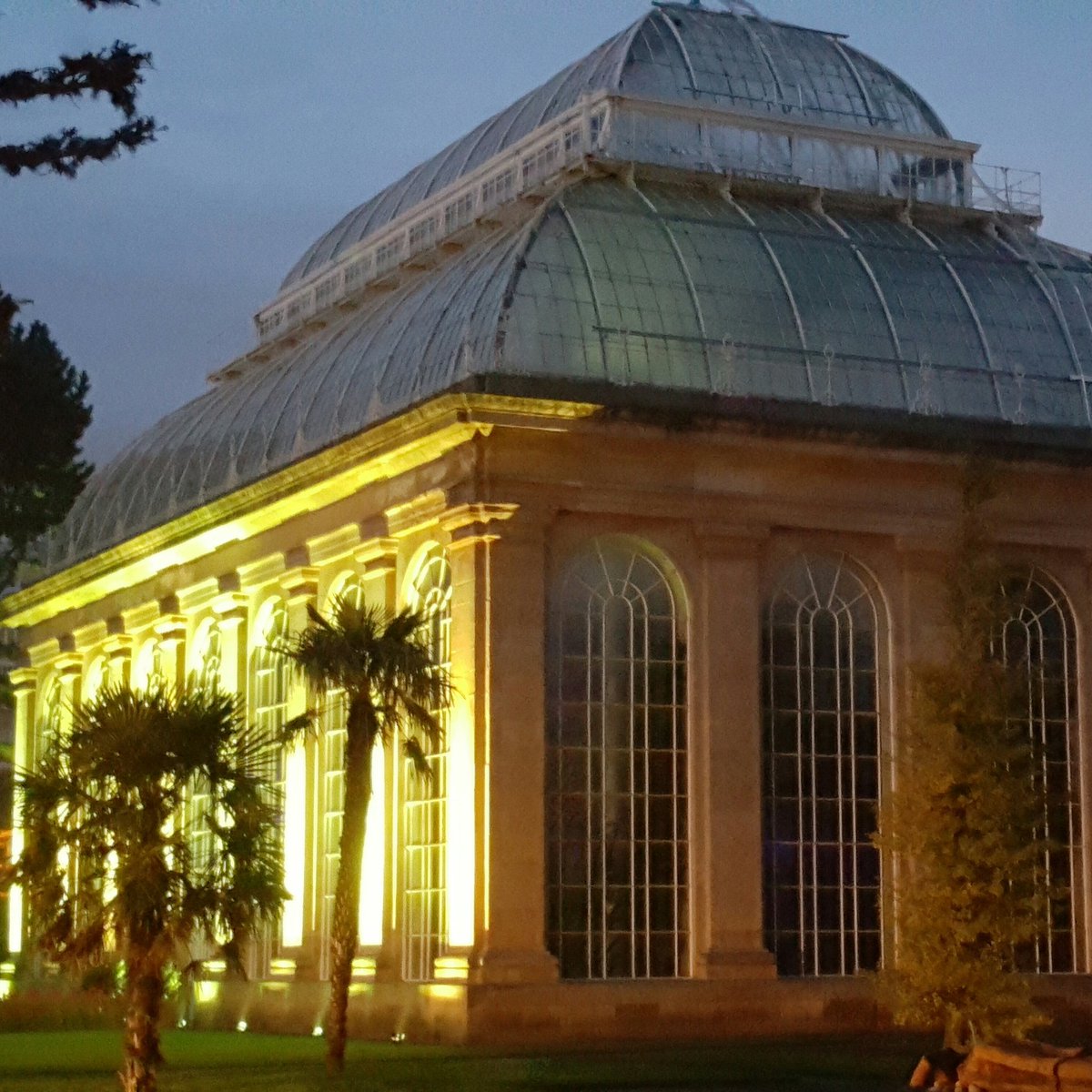 FFinches's tweet image. Leaving @TheBotanics yesterday just as they where switching on the lights for @BotanicLights