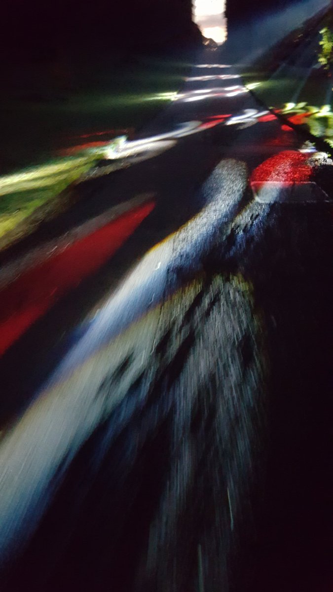 FFinches's tweet image. Leaving @TheBotanics yesterday just as they where switching on the lights for @BotanicLights