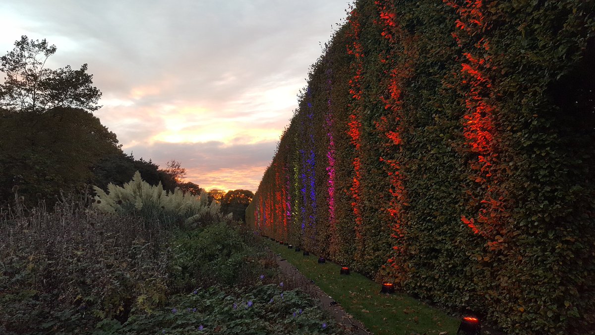 FFinches's tweet image. Leaving @TheBotanics yesterday just as they where switching on the lights for @BotanicLights