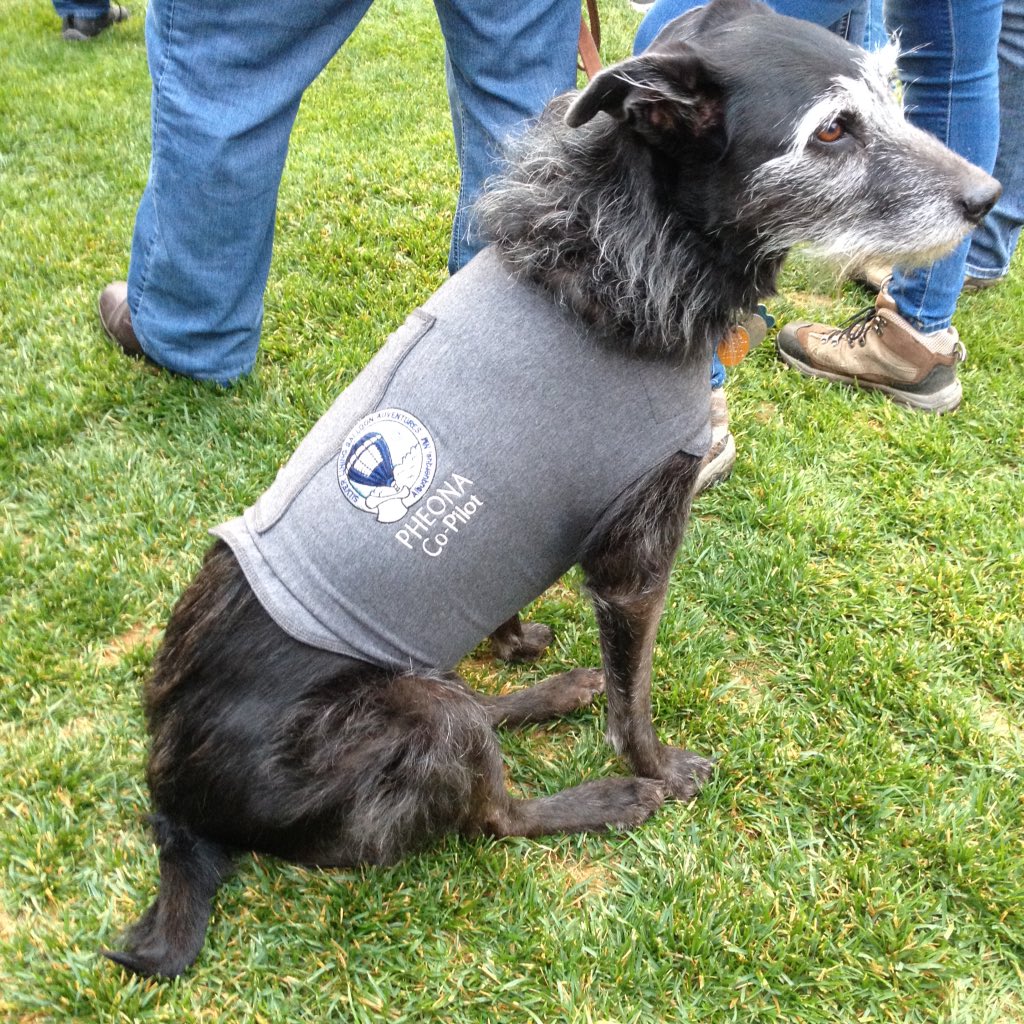 Sweet:the co-pilot for #balloon #festival #pageaz  #hotair #travel #dogsofinstagram #dogs #workingdog #dogsofig #luckydogstravel #petsgofar