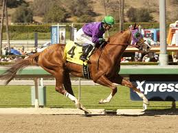 LWStables's tweet photo. Now to the @BreedersCup take a look at this brilliant preview https://t.co/Xe4167rJHp and lets play up our winnings on "the Chrome" https://t.co/EVGvPbqCm9