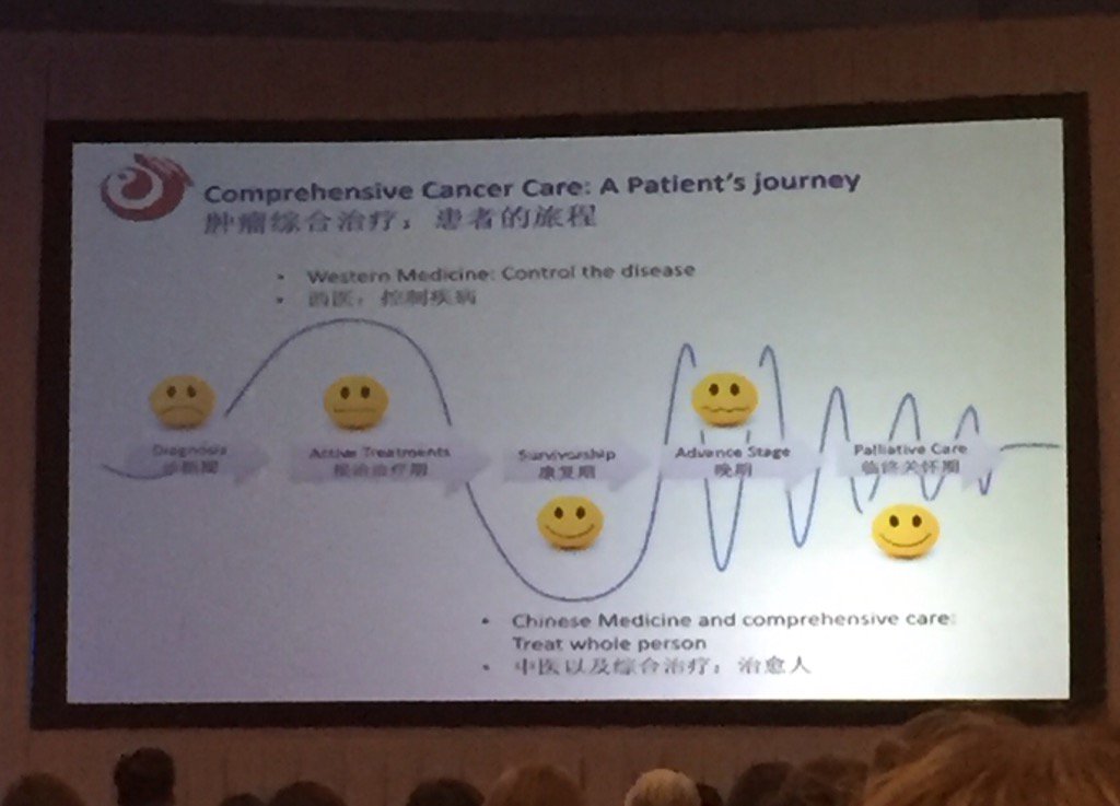 DianeRadfordMD's tweet photo. Chinese medicine treats the whole patient. Dr Yufei Yang #SIO2016 #quoteher @Integrativeonc https://t.co/qzDjXKAhfo