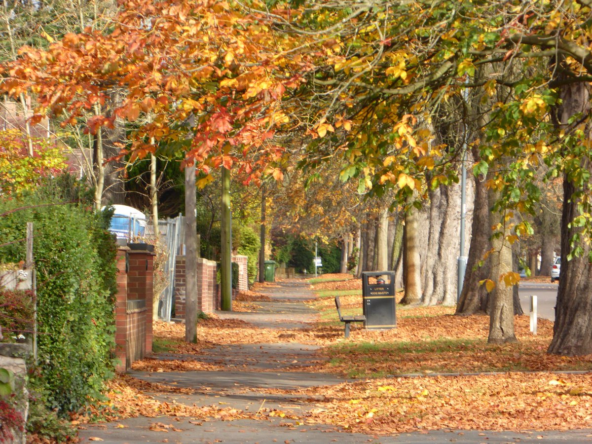 PialiDG's tweet photo. Splendid autumn walk to Old Milverton &amp; lovely pub lunch w @PatriciaMcMa today. #bestformoftherapy https://t.co/NzPQQHGQFi