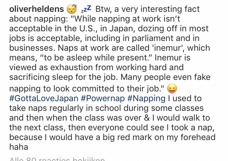 OliverHeldens's tweet photo. 🐨😴💤 https://t.co/z7nEPaEYmO https://t.co/fJueQIHvXA