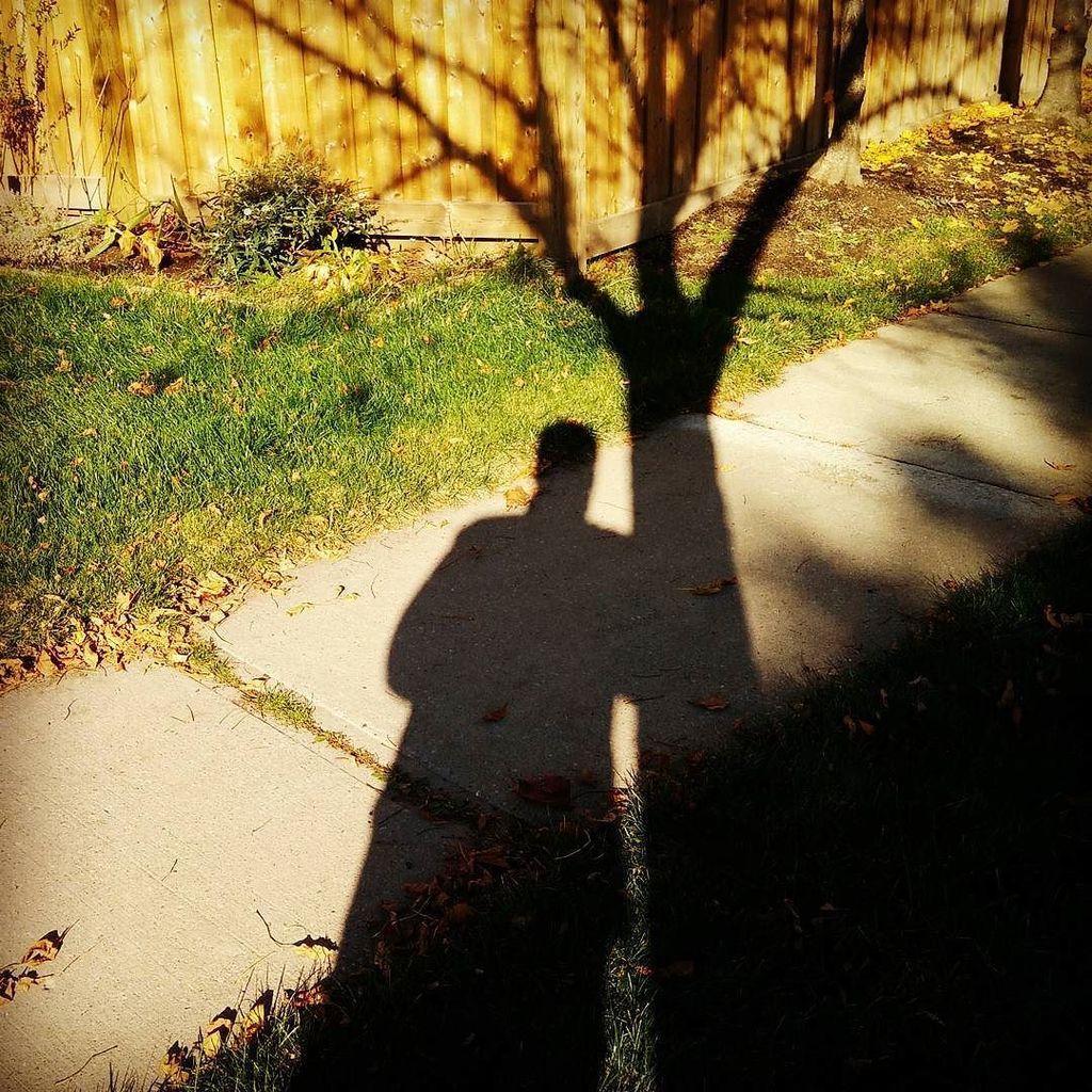 albertfong's tweet photo. #AutumnColours #AutumnFeels #LongerShadows mean Winter is on our heels. https://t.co/LgVoZCfF3L https://t.co/SICGHA4gKm