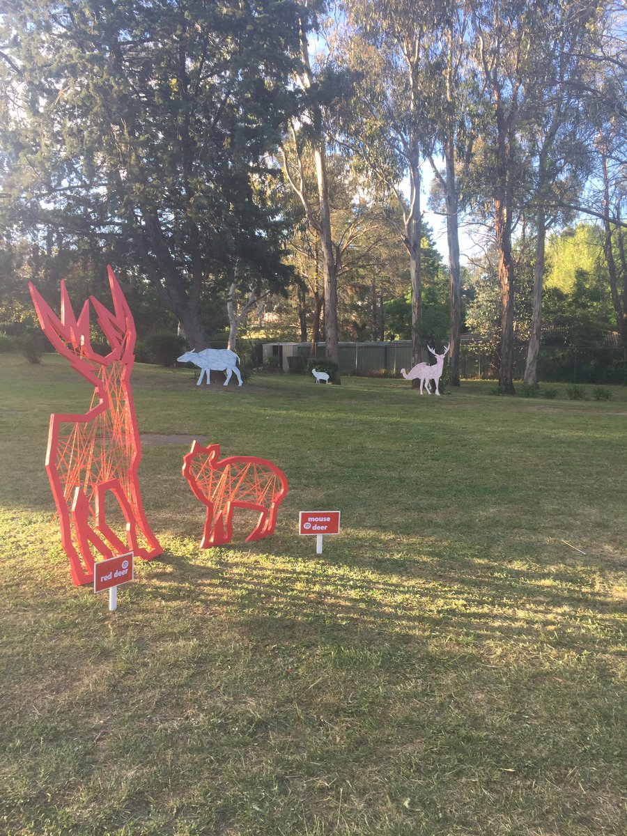 Phillipines embassy last night for dinner to thank Francis sollano #contour556 #designcanberrafestival #cbrarts