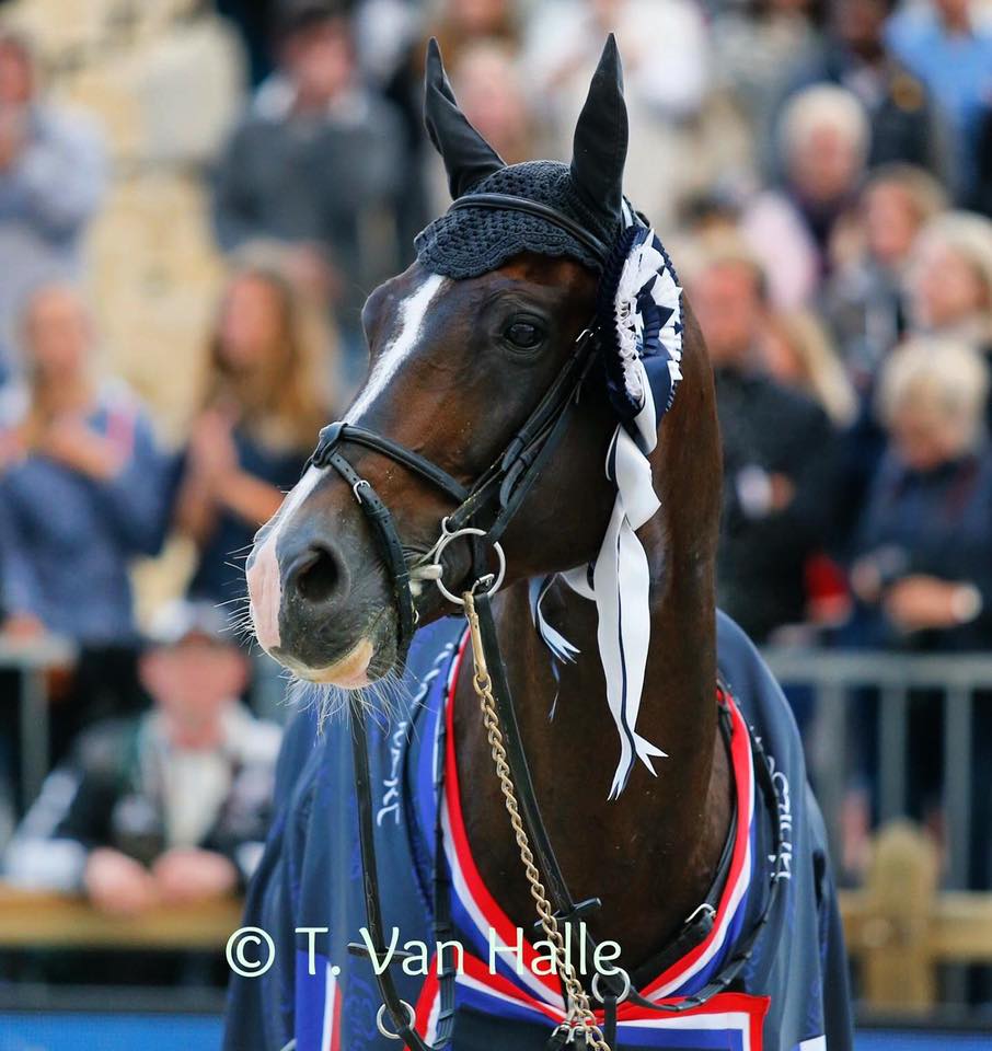 Casall ASK the king of the <a href="/GCT_events/">Longines Global Champions Tour</a> <a href="/RGBengtsson/">Rolf-Göran Bengtsson</a> <a href="/holsteinervb/">Holsteiner Verband</a>