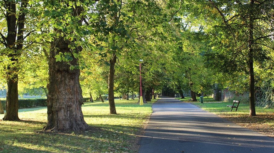 #GreenSpaces offer numerous #PublicHealth benefits. New WHO report: ow.ly/jyJJ305RtvG