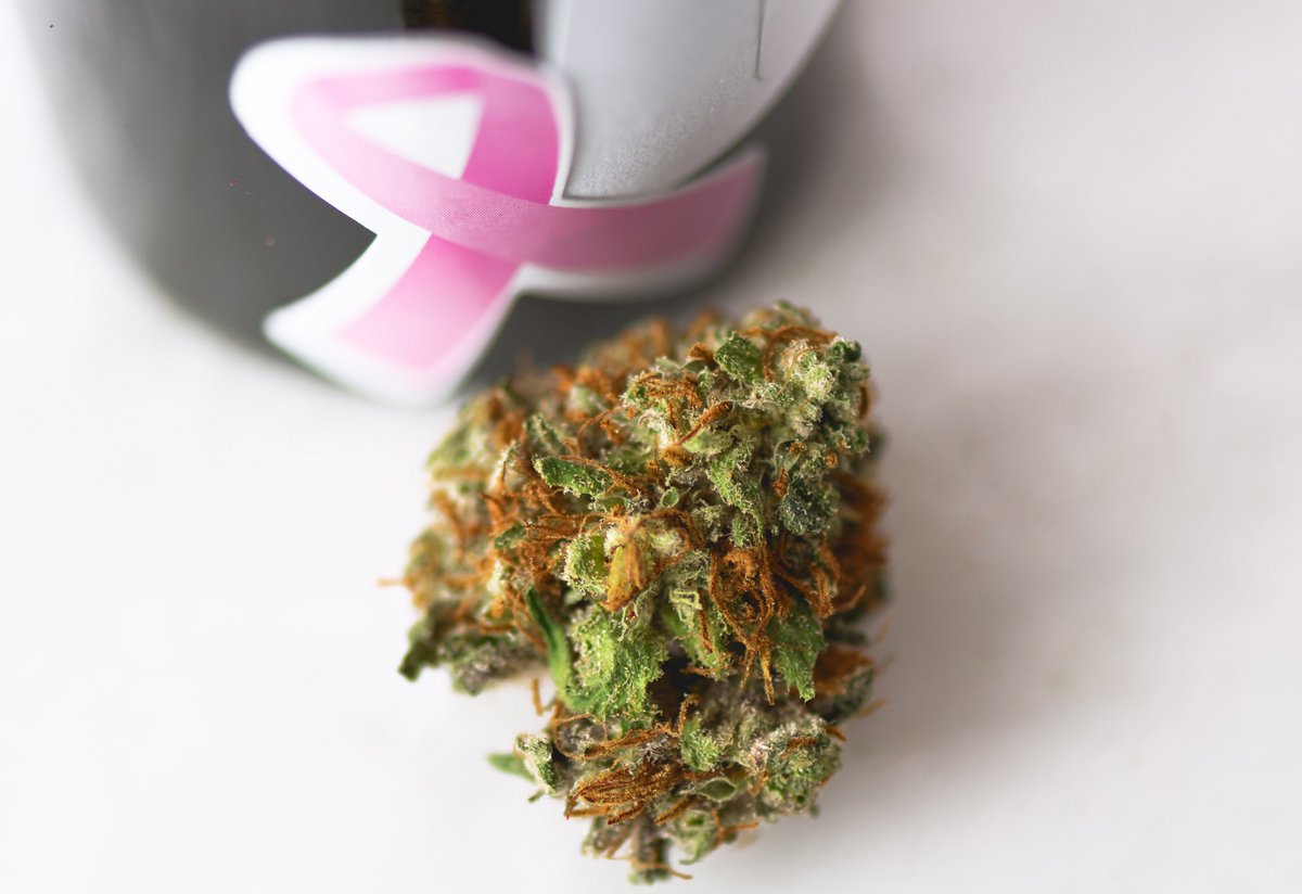 Elemental2009's tweet photo. Chocolate #Hashberry now only $45/8th while supply lasts! Tasty #indica w/ all proceeds on this strain going to #WomenCare! ☺️ https://t.co/55y4nxoAJY