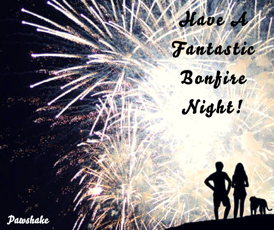 PawshakeUK's tweet photo. From all the Pawshake team we hope you have a fantastic bonfire night... #BonfireNight2016 #dogsitting #pawhakeuk #tailsofhappiness #petsuk https://t.co/i3F4oUZBFW