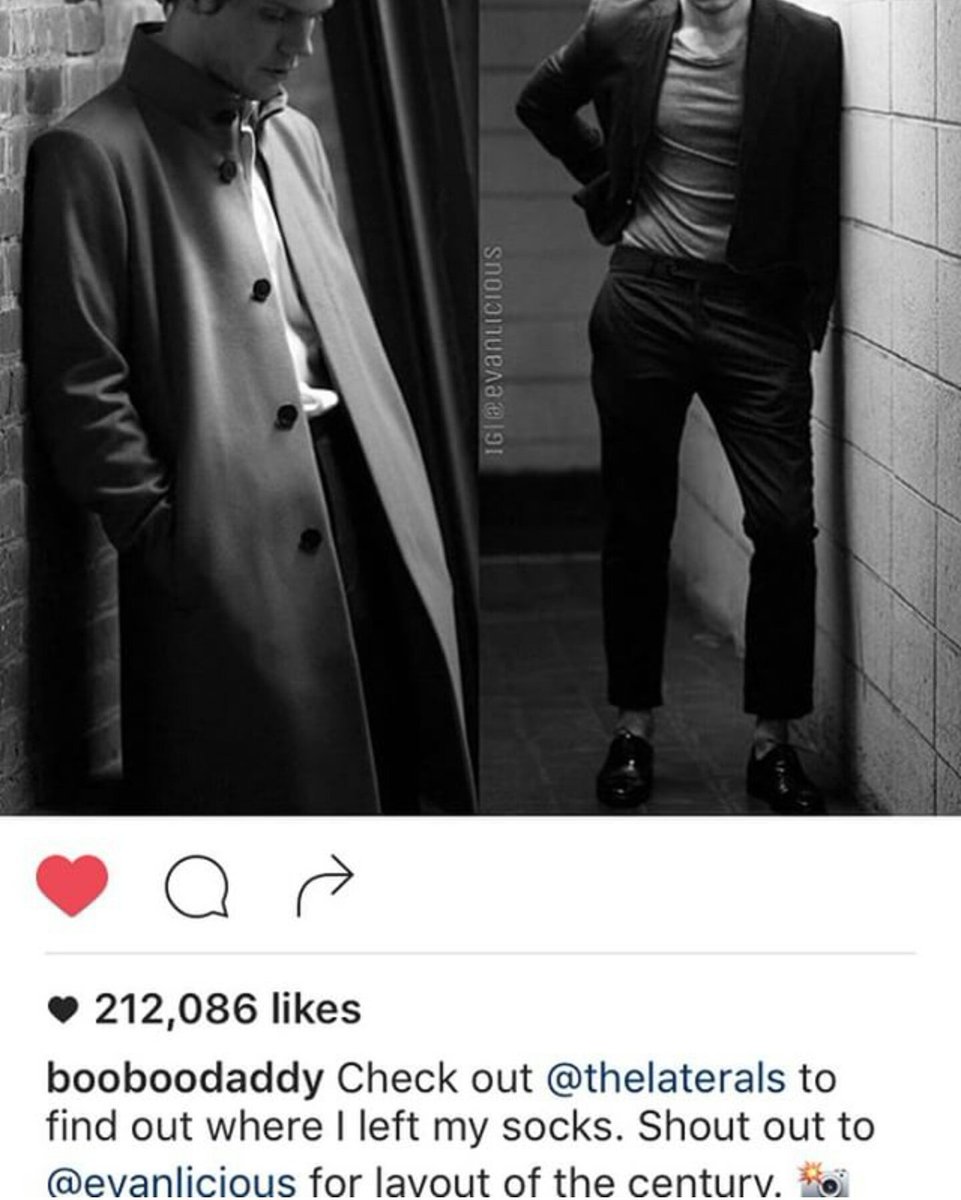 evanlicious tweet media