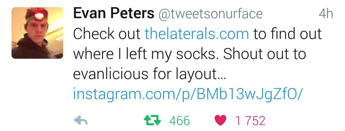 evanlicious tweet media