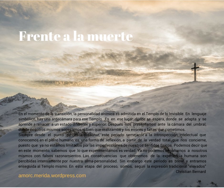 amorcmrd's tweet photo. Trascendamos nuestra naturaleza inferior, elevémonos a una comprensión más amplia de la vida y la muerte, de nuestro propósito en el mundo. https://t.co/N89utfPTHS