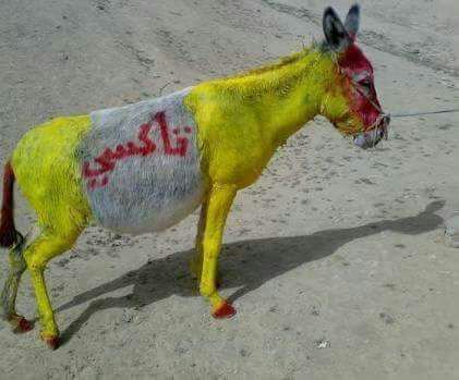 666_nabel's tweet photo. #رفع_الدعم_عن_المواطن.. اذا رفع الدعم عن السلع الأساسية ..على المواطنين راحوا المواطنين في ستين داهية https://t.co/a0pzorZTZD