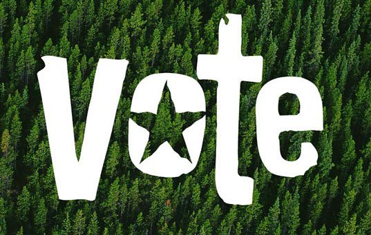 Arlene_the_Tree's tweet photo. If We Trees Could Vote We Would! Asking all our people pals Please VOTE! #TreeSpeech #ImWithHer @BeatriceTheTree @mabelthetree @DannytheTree https://t.co/FgcSV8onik