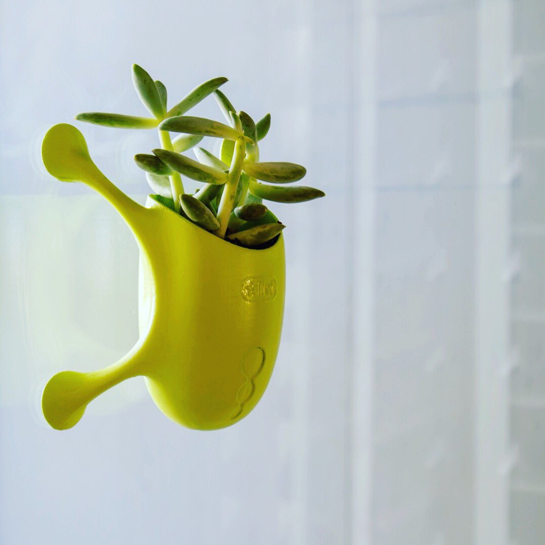 growlivi's tweet photo. Add more greenery to your window by these #cute #miniplanters https://t.co/JZbrRdW75a #gardening #succulents https://t.co/HIBqWTCOck