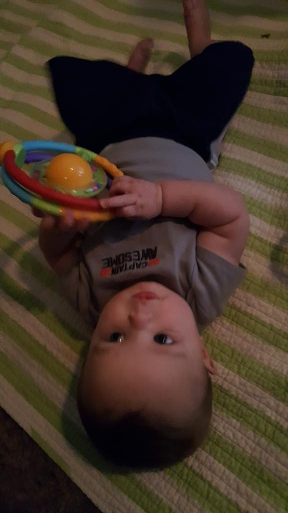 chronic_mom's tweet photo. Spent the weekend with this gorgeous creature. I'm worn out. My #blt #mimiing https://t.co/U1oOHWe19n