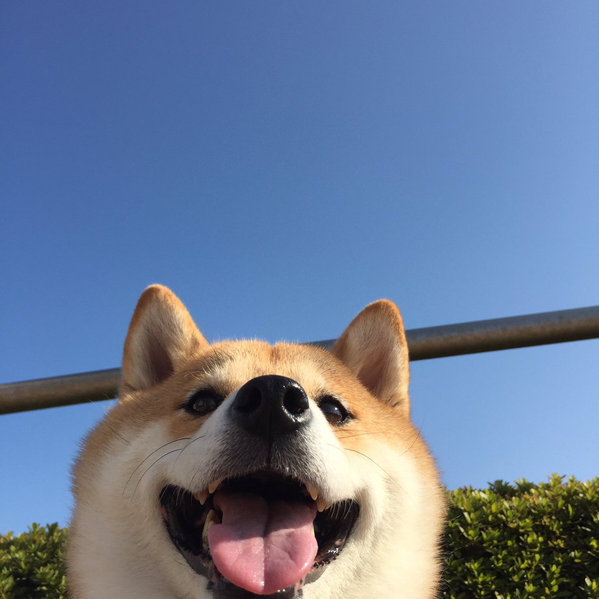 晴天ｯ!! この下からのアングル好きー♡