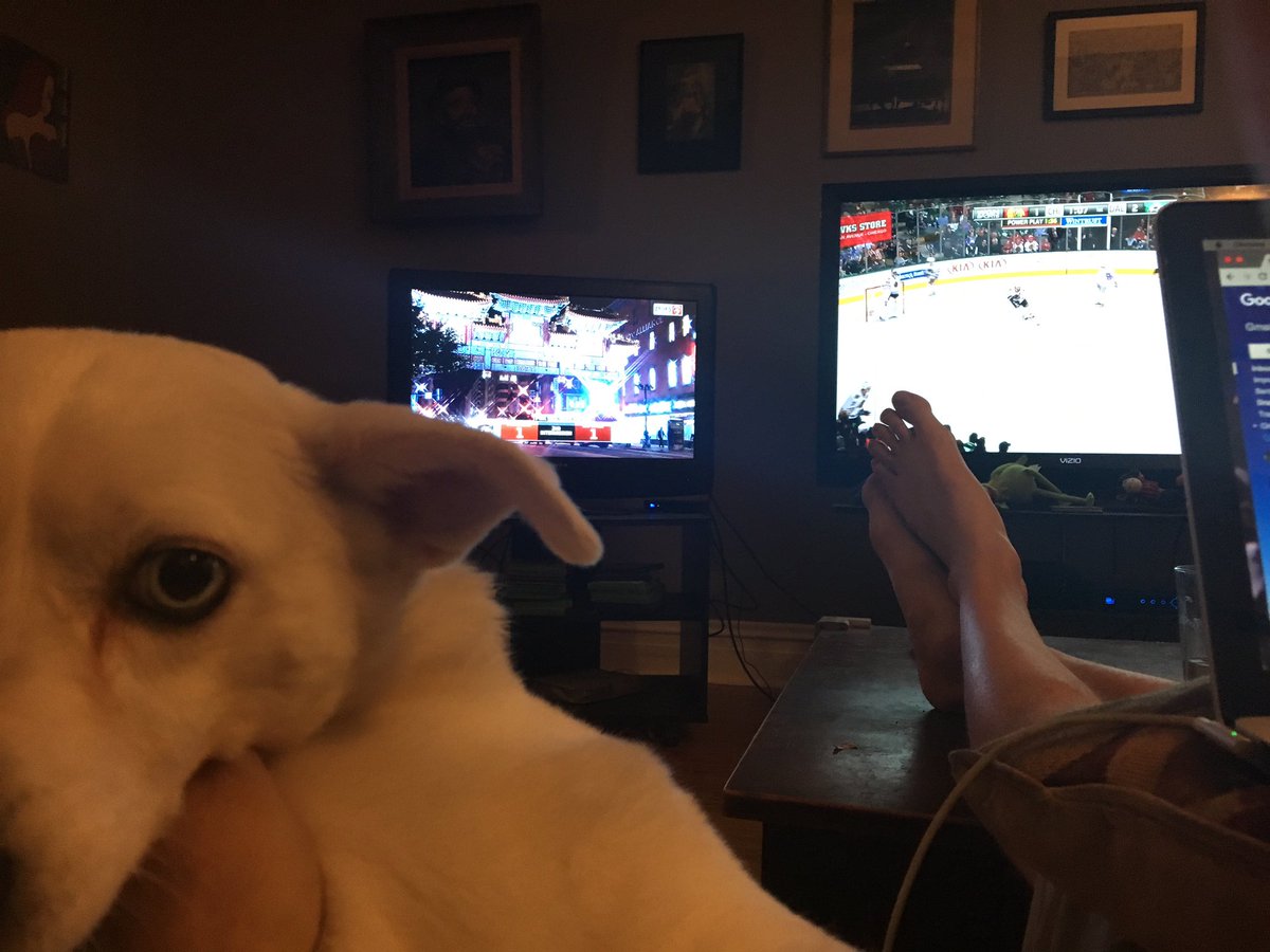 RealFansProgram's tweet photo. Restarting one of @KyleWIIM and @RegressedPDO's fave traditions. #HNWD (Hockey Night With Dogs) https://t.co/UoELIdGwpV