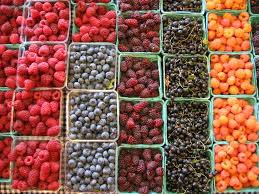 Acai, Kale, Spinach, Aloe Vera, Blueberry, Maquiberry, Raspberry, Mangosteen, Pomegranate, Ginseng . . . #wellness wellnessto.kyani.net