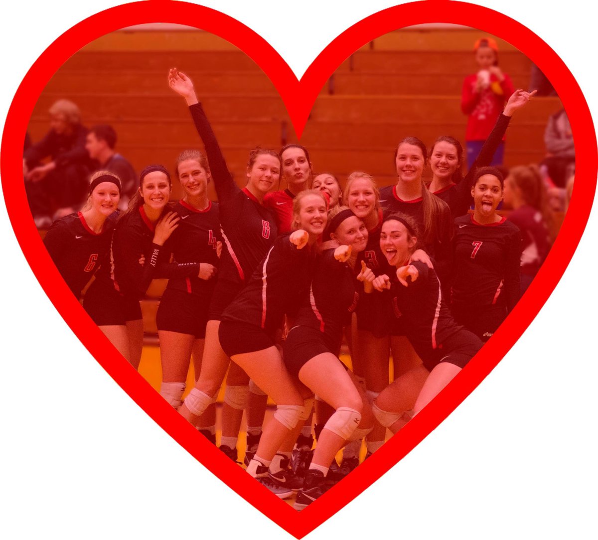 These girls gave it their all. Good luck to @tigervb2014 in the quest for a championship. #WEareBV #BestCrowdEver