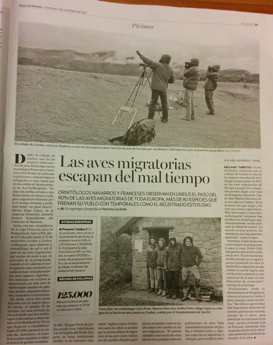 La campaña 2016 en #Lindus va llegando a su fin, el interés que suscita es cada vez mayor. El #birding en éste punto es inmejorable