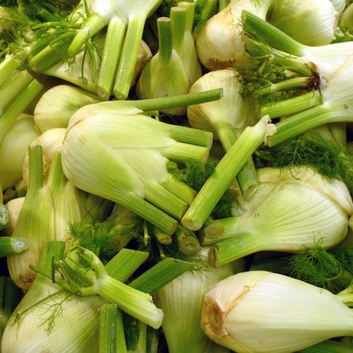 Did you know that Fennel or ginger tea can help relieve #bloating? buff.ly/2eEQ7Uq #bloat #beautytips