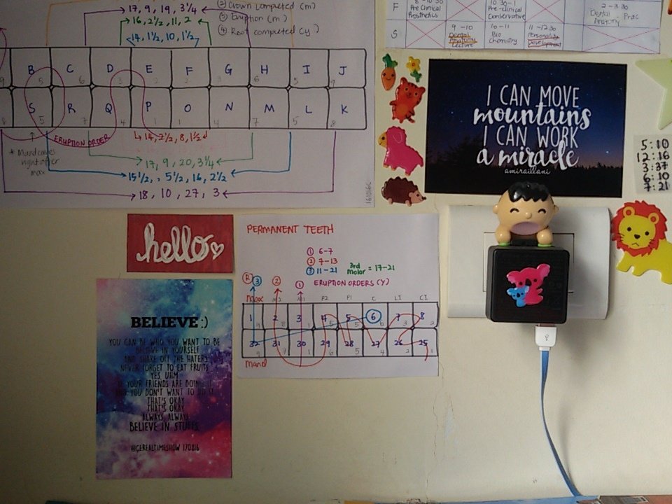 checkeredcars's tweet photo. @CerealTimeShow it has gotten a nice place in front of my study desk im so happy 😁😁 @luke_franks @hi_jimmy @coollike https://t.co/2v5fAiXeBl
