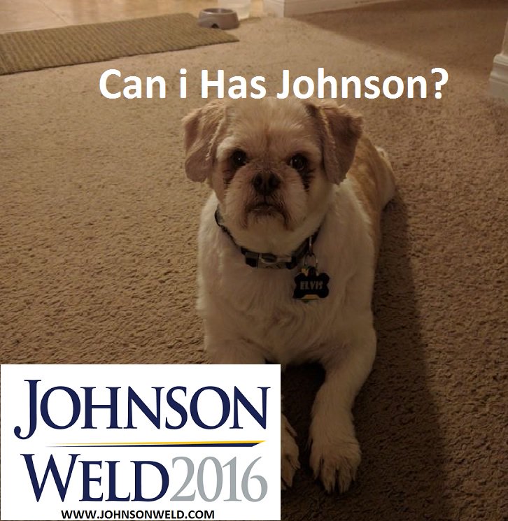 LPeanut_Gallery's tweet photo. #GaryJohnson #GoGaryGo #ThisIsTheYear #LibertariansWin https://t.co/tWbdBizHoU